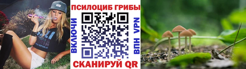 Псилоцибиновые грибы Cubensis  Добрянка 