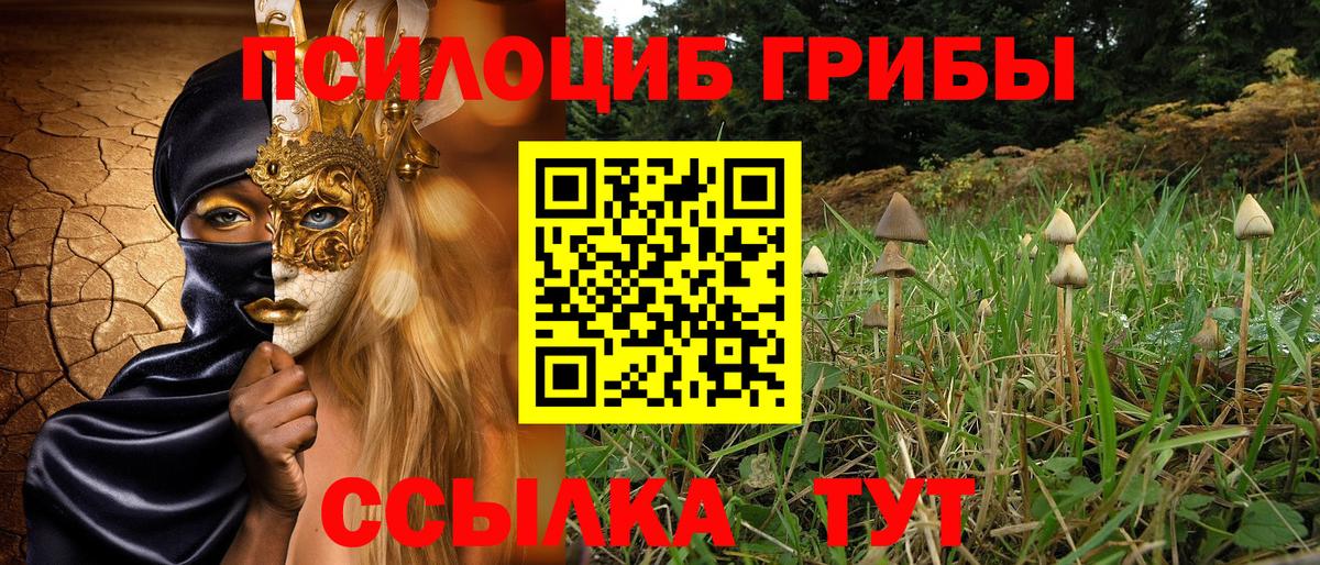 Добрянка  Псилоцибиновые грибы мицелий  Вход с VPN  Галлюциногенные грибы MAGIC MUSHROOMS 