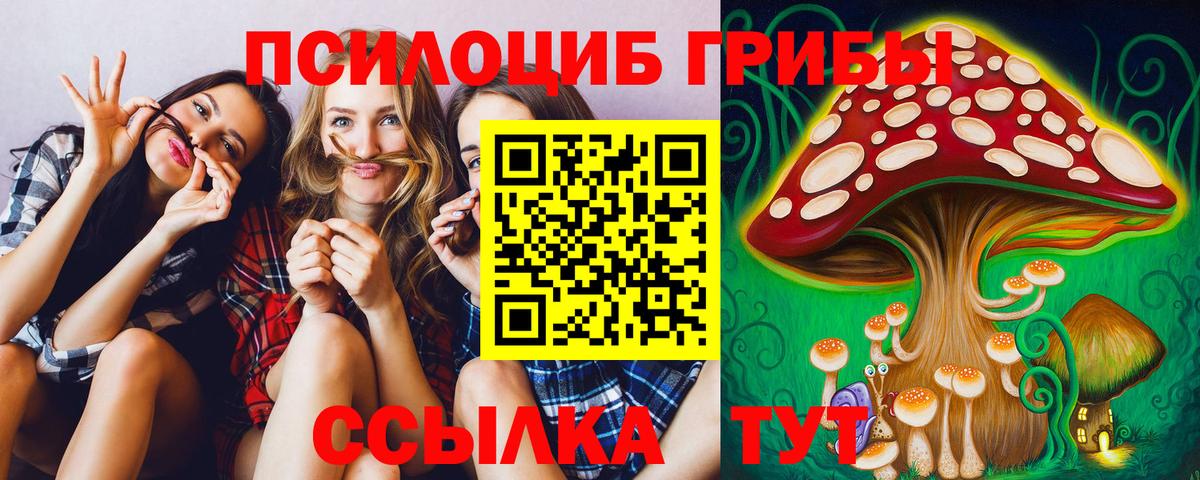 Галлюциногенные грибы Psilocybine cubensis Добрянка